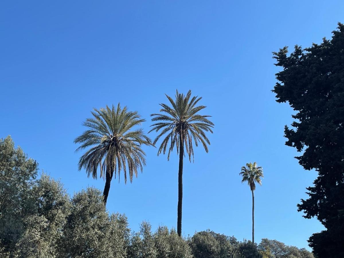 Appartamento Colosseo Gardens - My Extra *