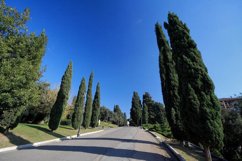 Colosseo Gardens - My Extra Appartamento *